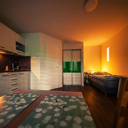 Gottwaldhaus-Freiberg-Apartment / A Exteriér fotografie